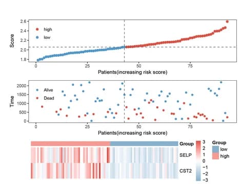 Open access visualization of Scatter Plot, Heatmap, ROC Curves, GSE26899