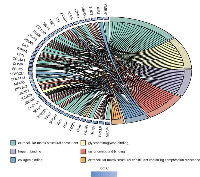 Open access visualization of Chord, Molecular Functions