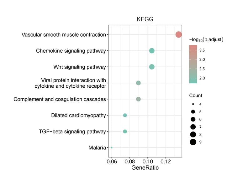 Open access visualization of Bubble Plot, Kyoto Encyclopedia of Genes and Genomes, Pathway Enrichment