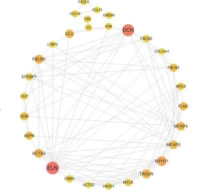 Open access visualization of Network, Pathway, Maximal Clique Centrality Network, Nodes