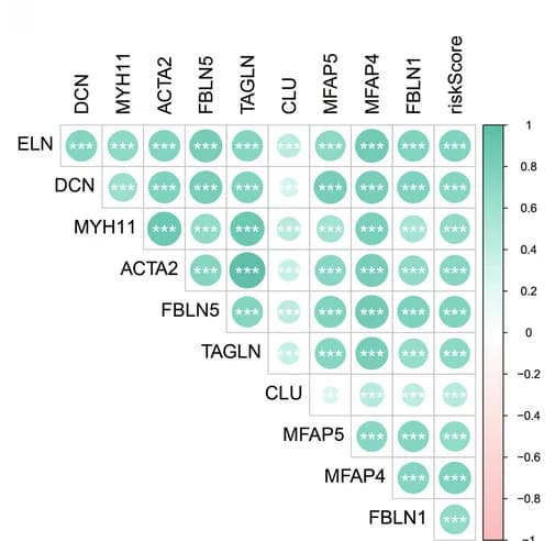 Open access visualization of Bubble Plot, Heatmap, Hub Genes, Risk Scores, Correlation