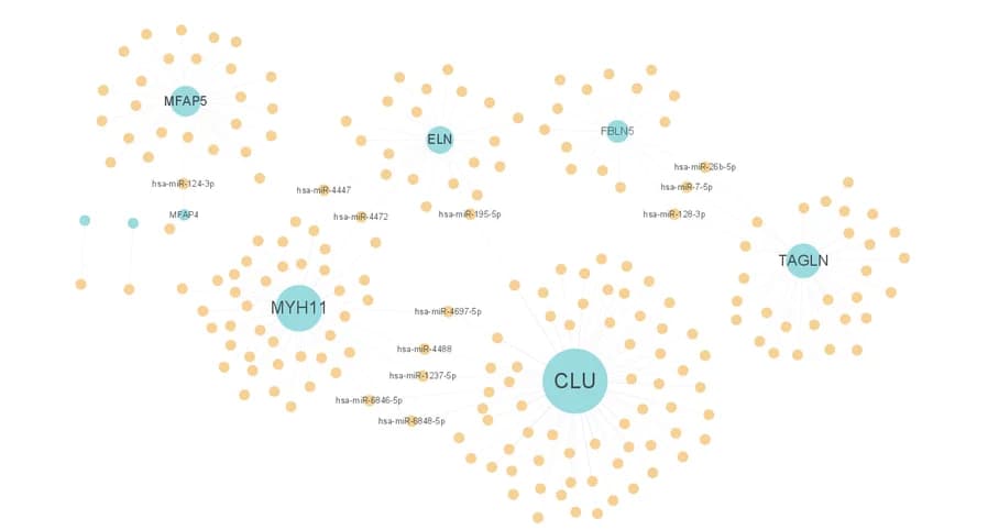 Open access visualization of Network, Pathway, miRNA-mRNA Regulatory Network, Hub Genes, Nodes