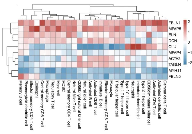 Open access visualization of Heatmap, Clustered, Hub Genes, Immune Cell Infiltration
