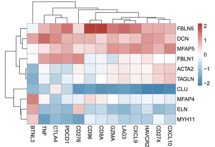 Open access visualization of Heatmap, Clustered, Hub Genes, Immune Genes