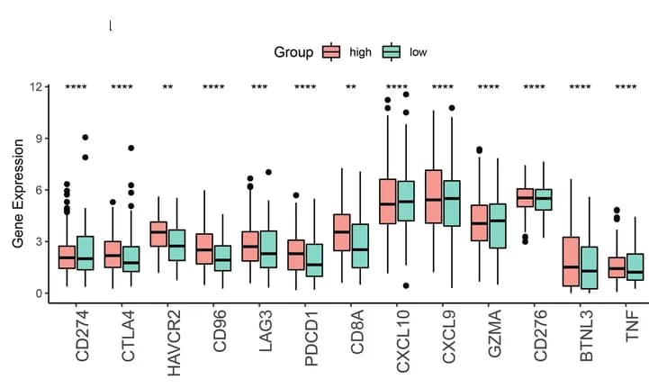 Open access visualization of Box Plot, Boxplot, Immune Genes, High-Risk Groups, Low-Risk Groups