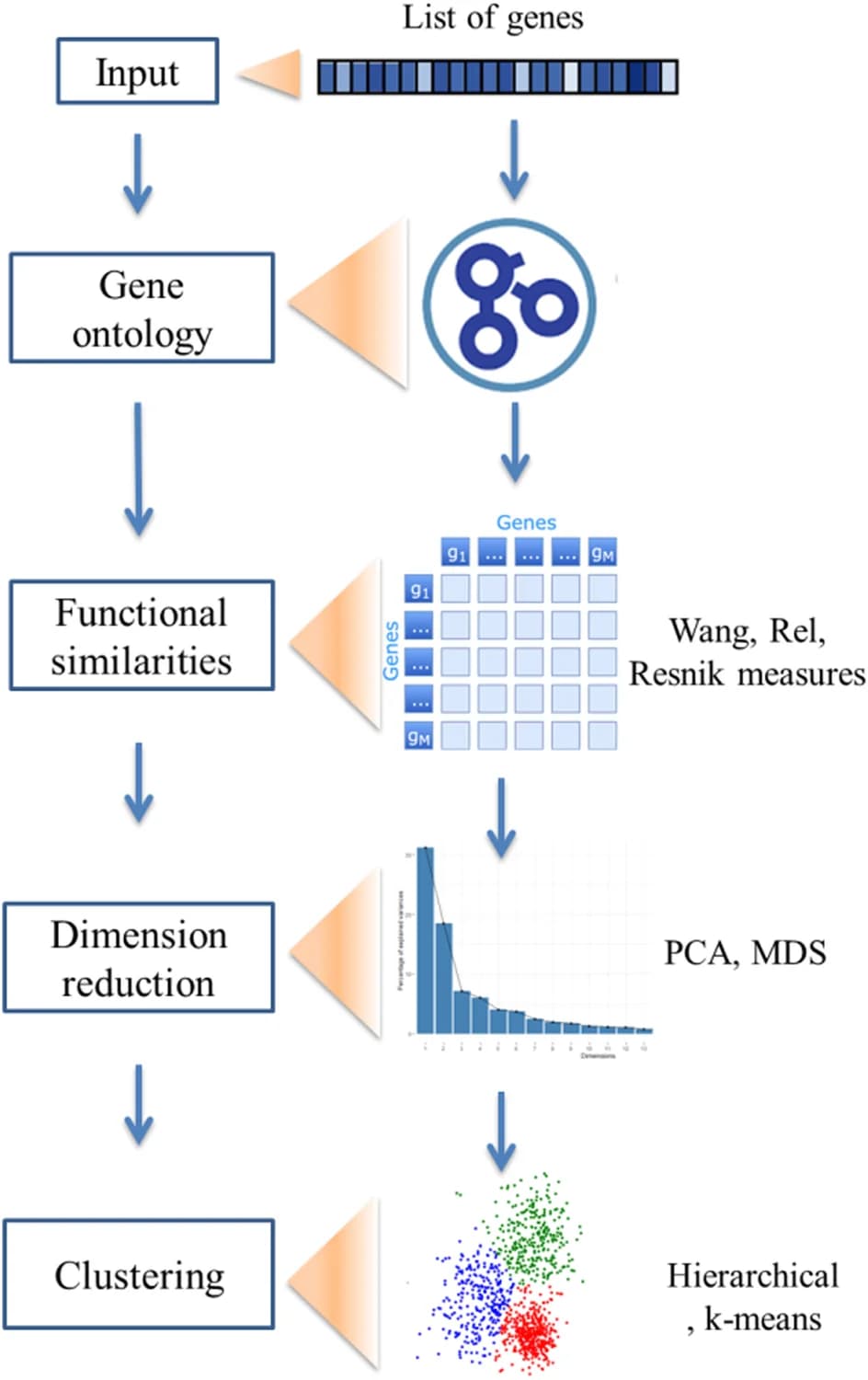 Open access visualization of Workflow, Bar Plot, Scatter Plot, DGH-GO, Multidimensional Scaling