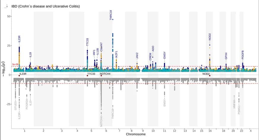 Open access visualization of Manhattan Plot, GWAS, Crohn’s Disease, Ulcerative Colitis