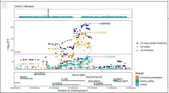 Open access visualization of Locuszoom Plot, Scatter Plot, GWAS, Regional Plot, Crohn’s Disease