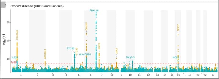 Open access visualization of Manhattan Plot, Crohn’s Disease, Datasets, Overlapping Display
