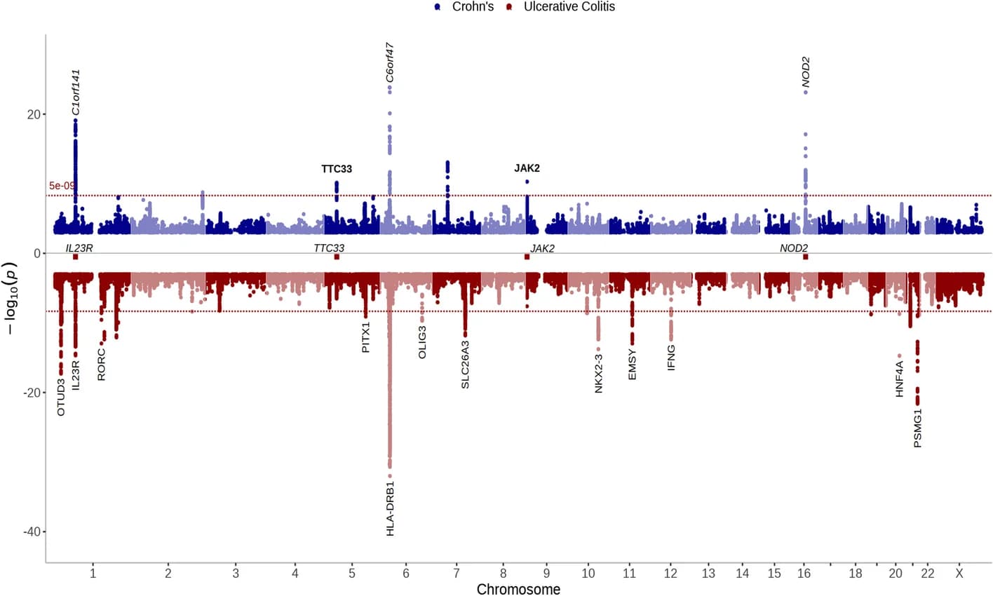 Open access visualization of Manhattan Plot, Scatter Plot, Chromosomes, UK Biobank, Crohn's Disease