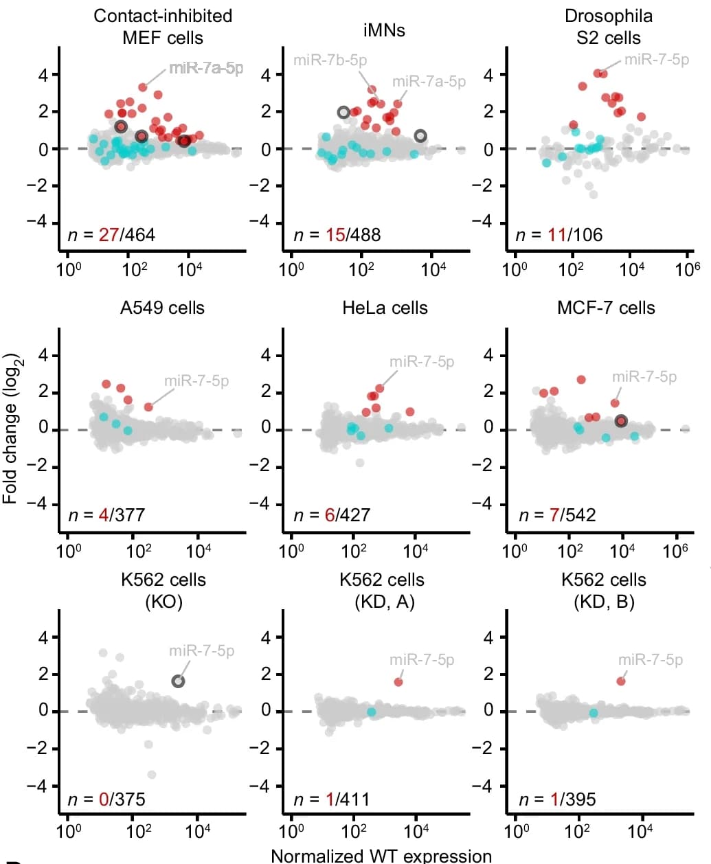 Open access visualization of Scatter Plot, Volcano Plot, miRNA, ZSWIM8, CRISPRi