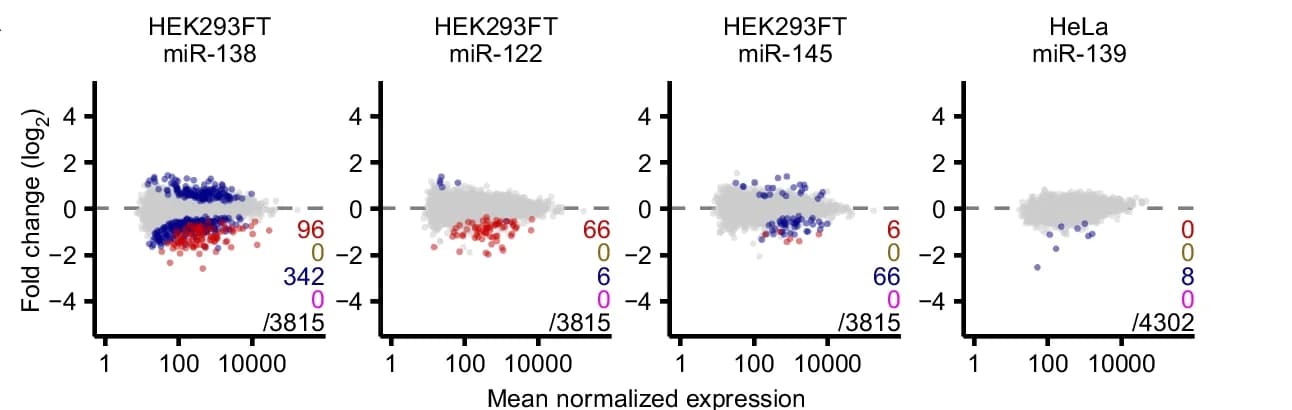 Open access visualization of Scatter Plot, Volcano Plot, mRNA, miRNA, BBUM method