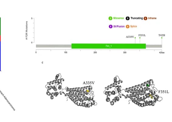 Open access visualization of Bar Plot, Protein Structure, Mutation site