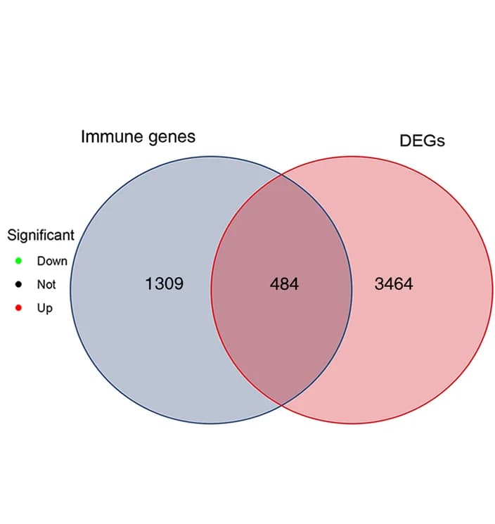 Open access visualization of Venn Diagram, Immune Genes, DEGs