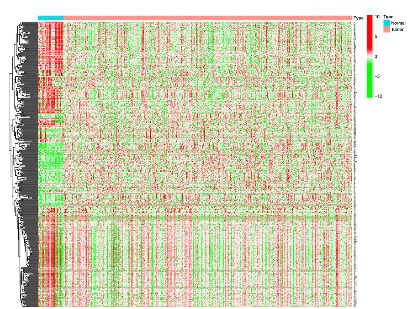 Open access visualization of Heatmap, Clustered, DEGs, Tumor Samples, Normal Samples