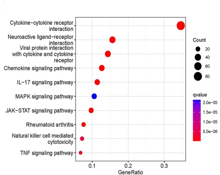 Open access visualization of Scatter Plot, Bubble Plot, Volcano Plot, KEGG, GO Enrichment Analysis