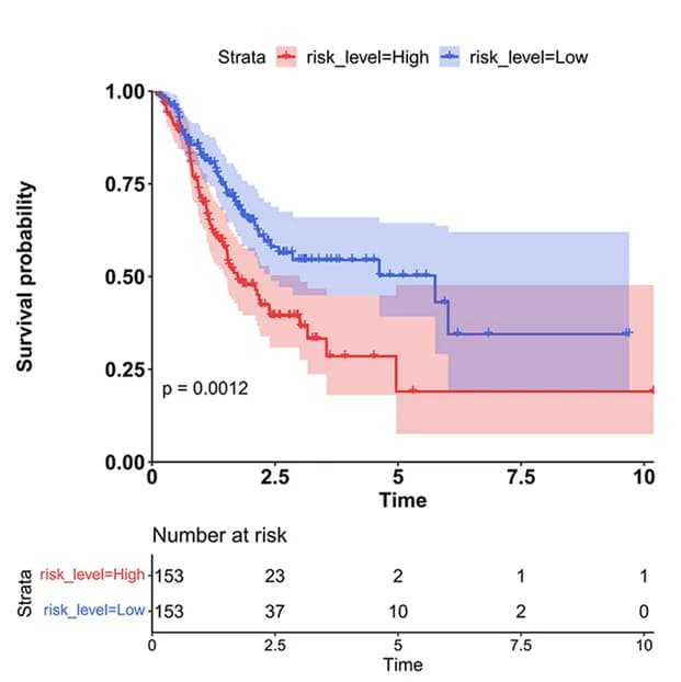 Open access visualization of Survival Curve, Line Plot, Error Bars, Survival Analysis, Predictive Model