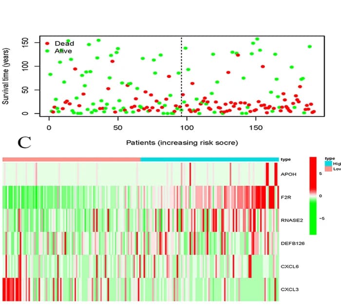 Open access visualization of Scatter Plot, Heatmap, Overall Survival, Risk Score, Gene Expression