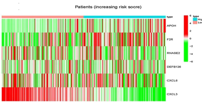 Open access visualization of Heatmap, Overall Survival, Risk Score, Gene Expression