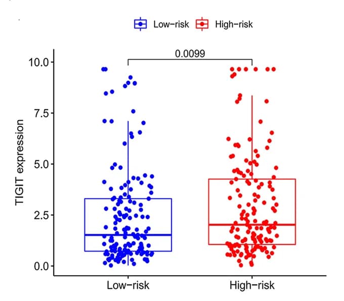 Open access visualization of Box Plot, Scatter Plot, Immune Checkpoint Molecules, TIGIT, CTLA4