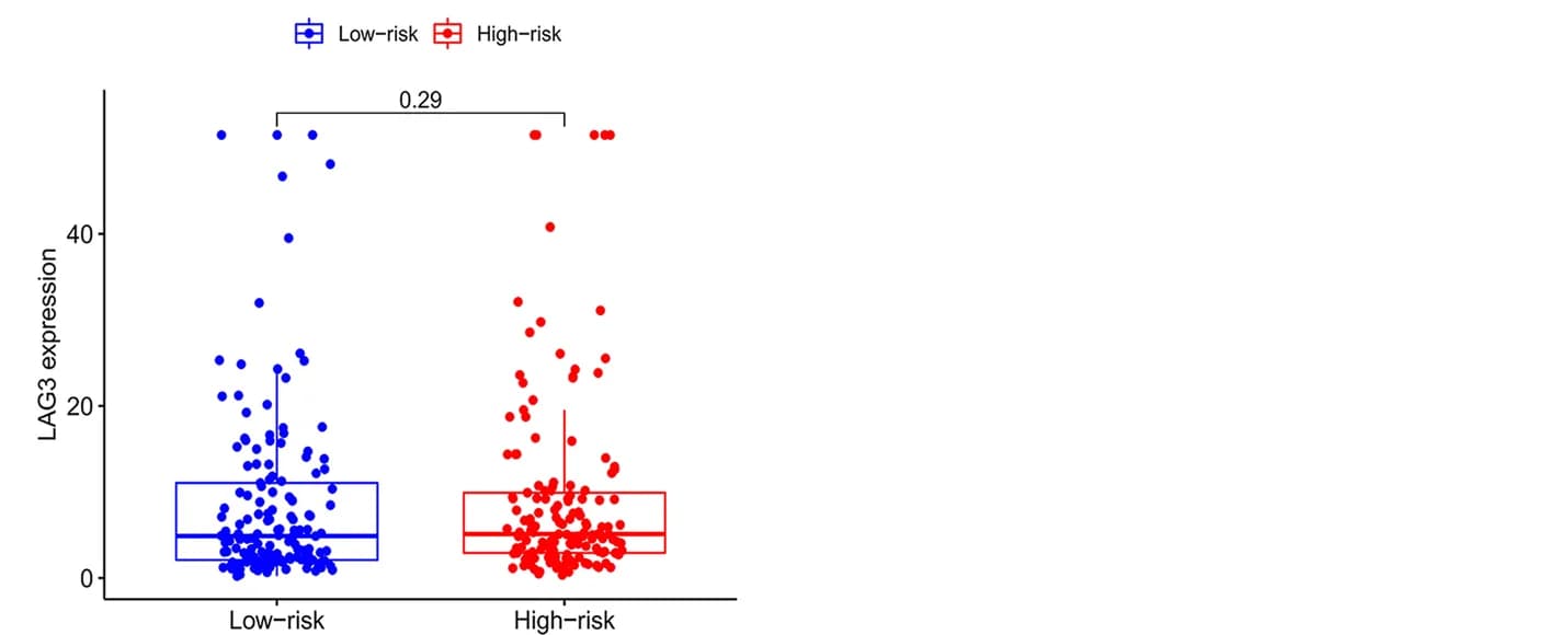 Open access visualization of Box Plot, Scatter Plot, Immune Checkpoint Molecules, TIGIT, CTLA4