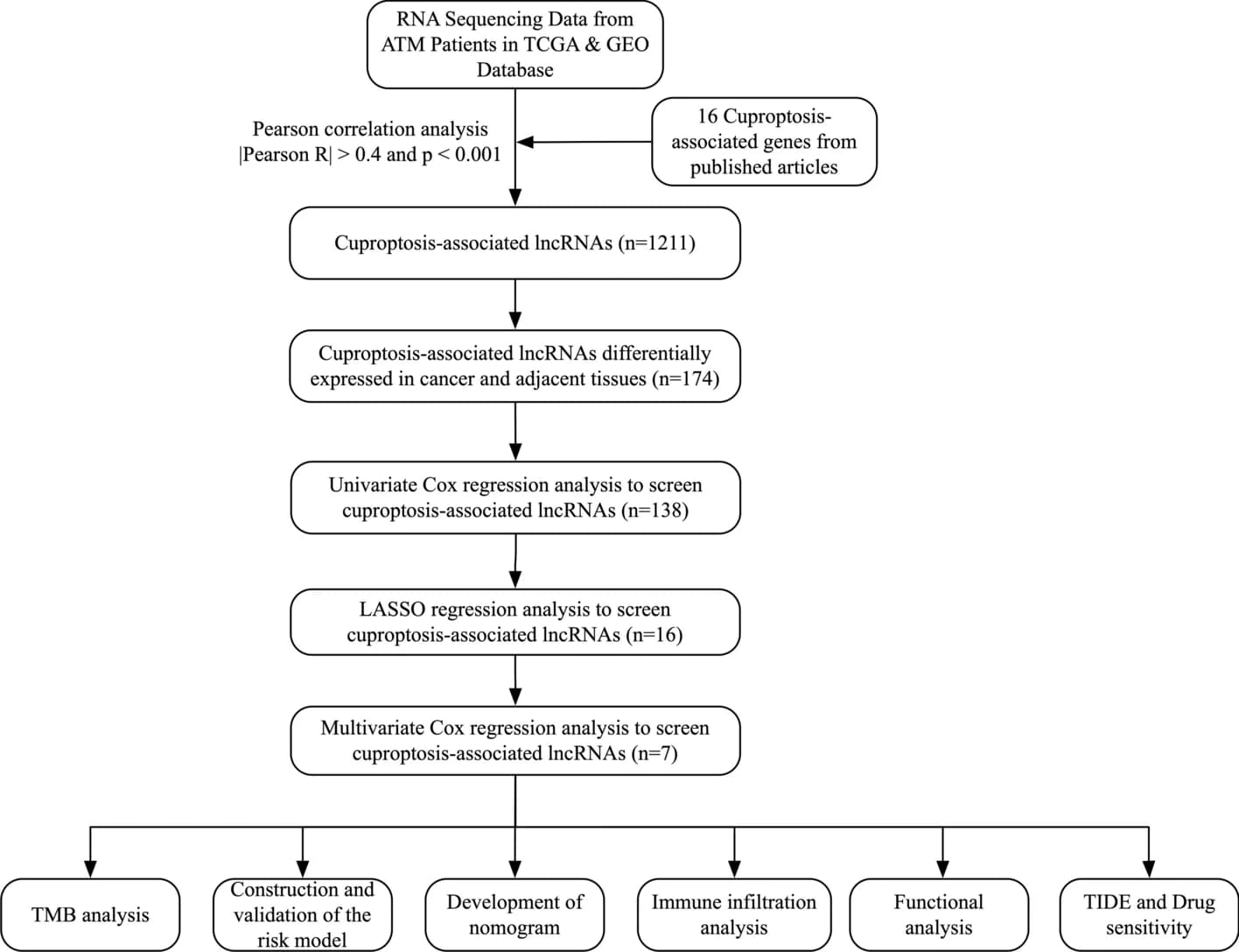 Open access visualization of Workflow, Flowchart, Experimental Design, Patient Sample Collection, CTC Enrichment