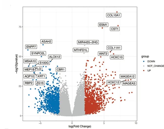 Open access visualization of Volcano Plot, Differentially expressed, Cuproptosis-related lncRNAs, Normal samples, Cancer samples