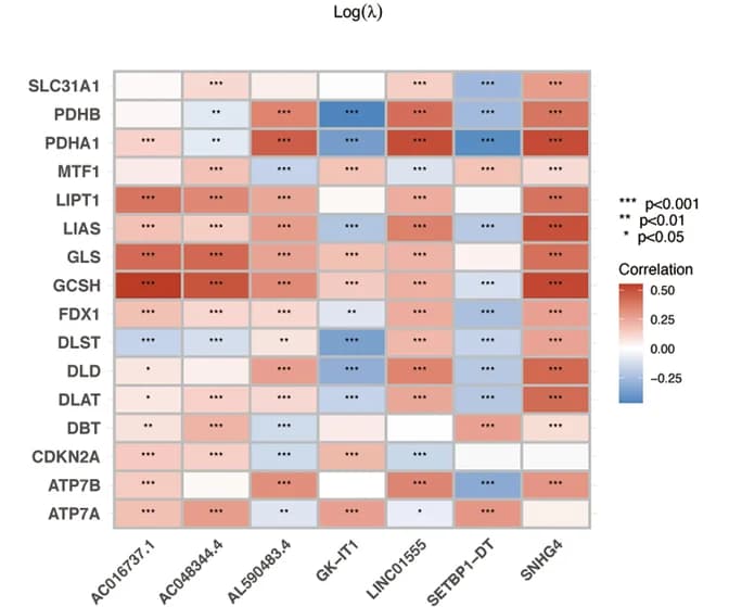 Open access visualization of Heatmap, Cuproptosis-associated genes, Risk lncRNAs, TCGA-ATM cohort, Correlation