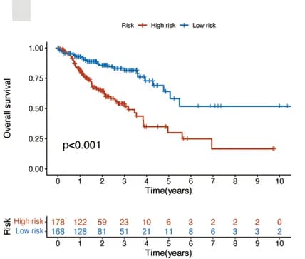 Open access visualization of Survival Curve, Line Step, Kaplan-Meier Survival Analysis, Overall Survival, Testing Set