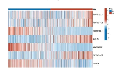 Open access visualization of Heatmap, Heat Maps, Seven CRLs, High-Risk Cohorts, Low-Risk Cohorts