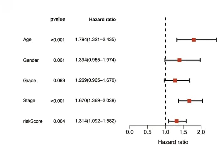Open access visualization of Forest Plot, Uni-Cox analyses, Multi-Cox analyses, OS, Risk Score