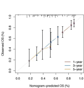 Open access visualization of Line Plot, Error Bars, ROC Curves, Calibration Curves, External Validation Cohort