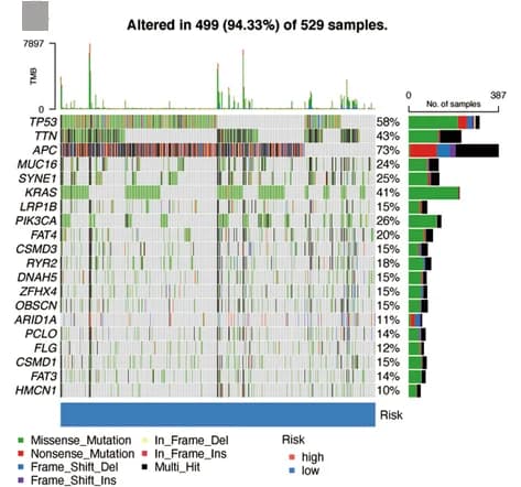 Open access visualization of Bar Plot, Histogram, Stacked Bar Plot, Somatic Mutation, Waterfall Plot