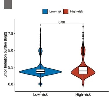 Open access visualization of Violin Plot, Box Plot, TMB Level, Risk Cohorts, Comparison