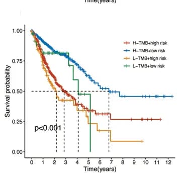 Open access visualization of Survival Curve, Kaplan-Meier Survival Curve, Survival Analysis, Subgroups