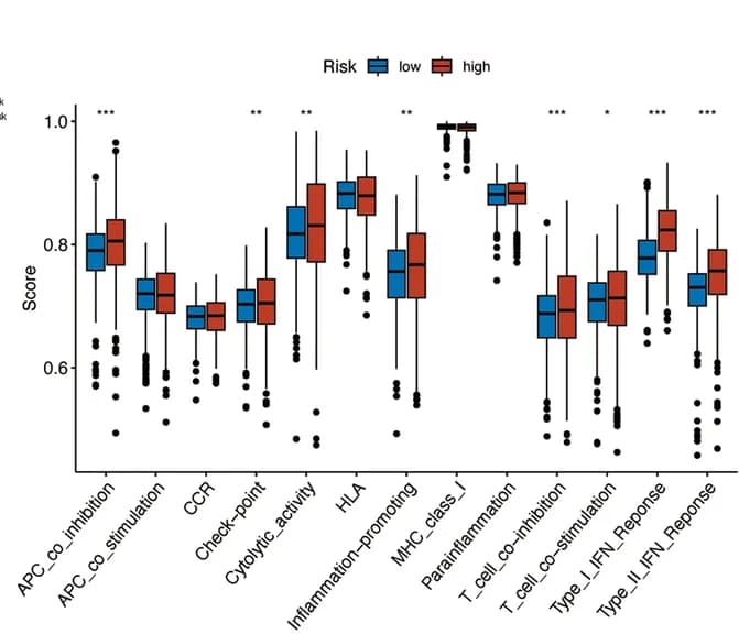 Open access visualization of Box Plot, Immune-Associated Functions, Boxplot
