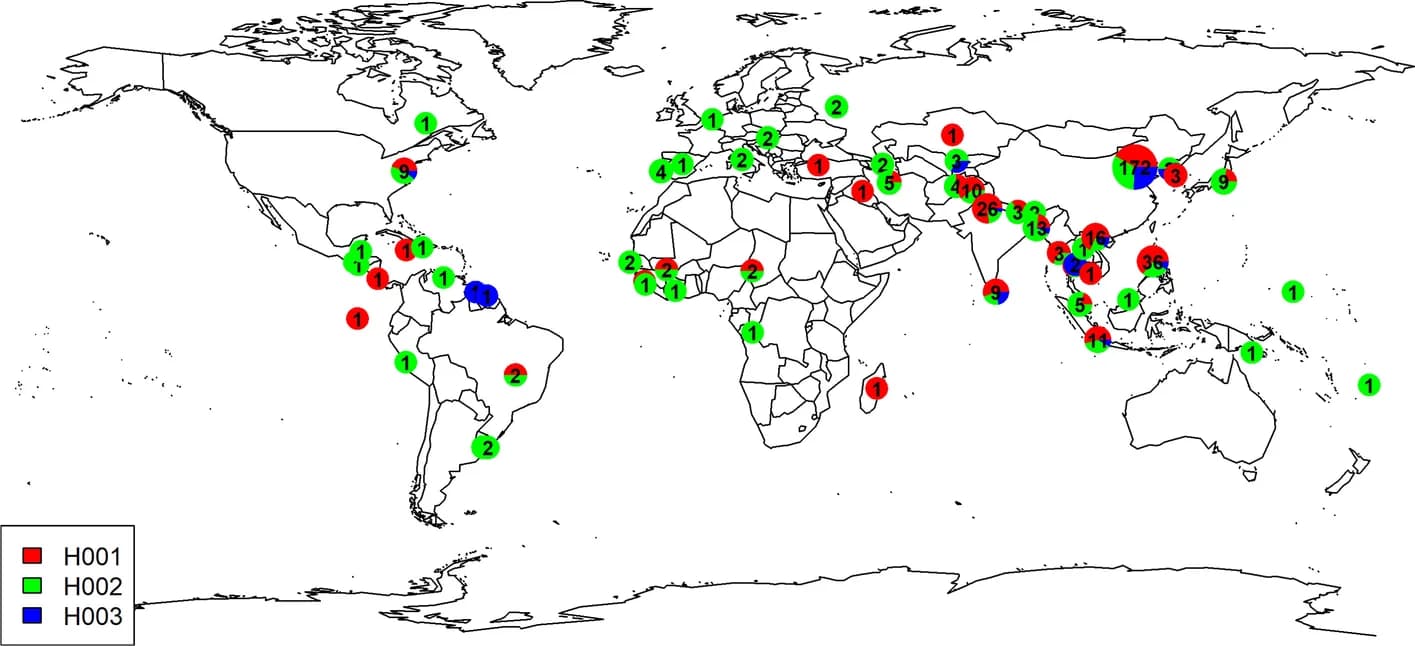 Open access visualization of Geo Map, Geo-distribution, Haplotypes, Accessions, Eco-regions