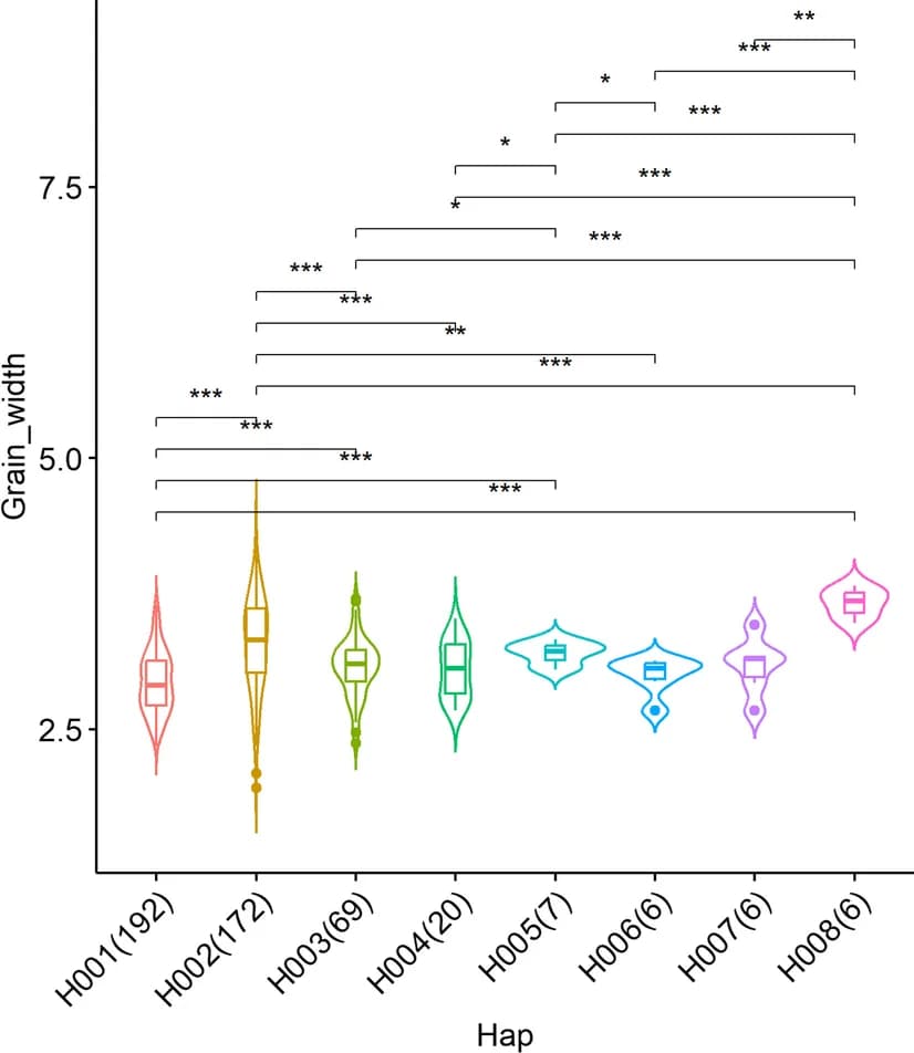 Open access visualization of Violin Plot, Box Plot, Grain Thickness, Haplotypes, Accessions