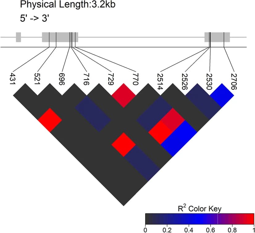 Open access visualization of Heatmap, LD-block, Gene Model, Exons, Variants
