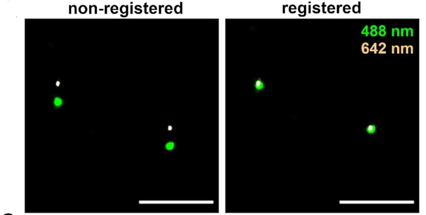 Open access visualization of Microscopy, STORM Images, Fiducial Markers, Registration, 488 nm Excitation