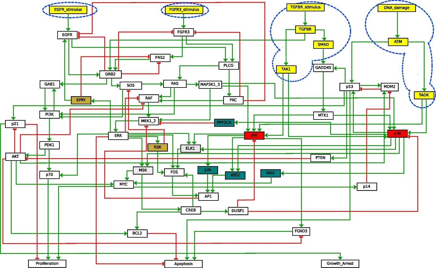 Open access visualization of Pathway, MAPK BN, GINsim, Maximal BBE, Vertical IS