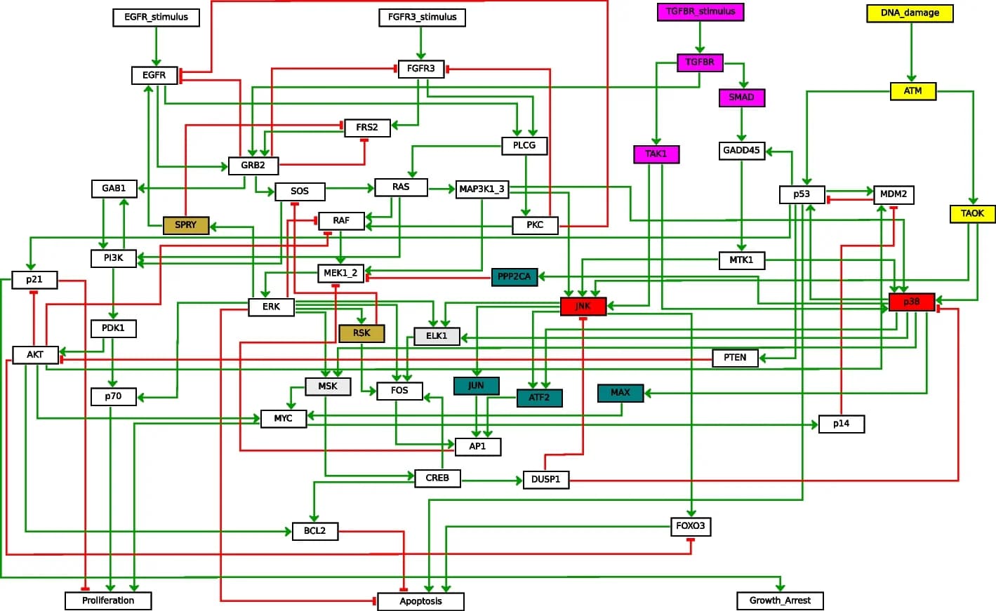 Open access visualization of Workflow, Flowchart, MAPK BN, Bayesian Network, BBE