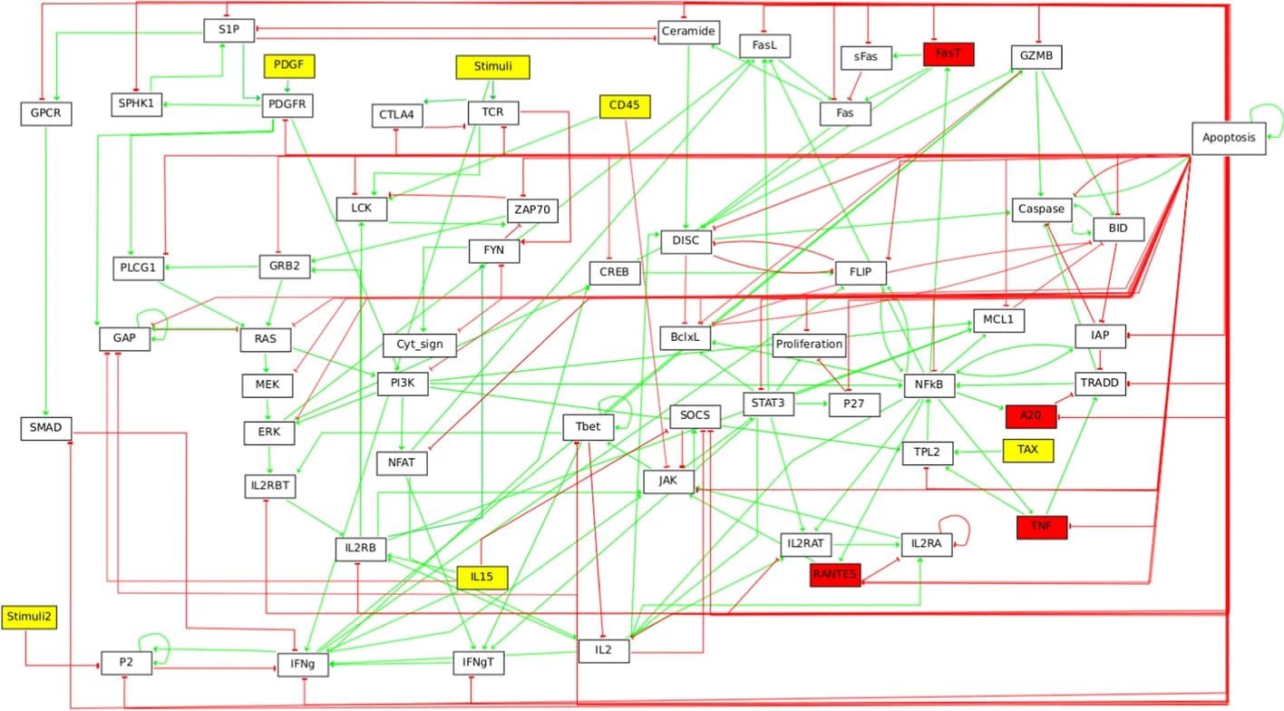 Open access visualization of Pathway, T-LGL BN, GINsim, Boolean Network, T-LGL