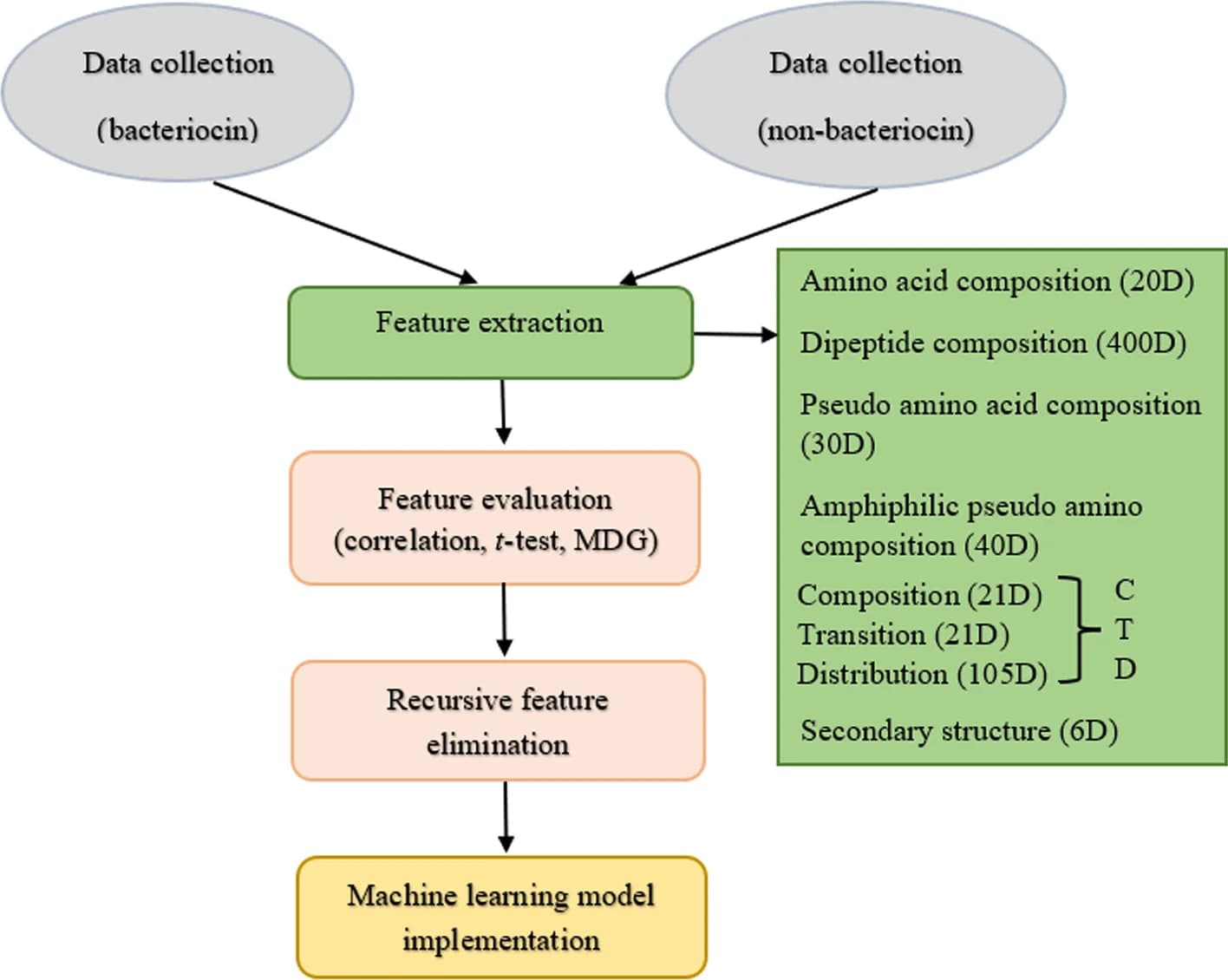 Open access visualization of Workflow, Flowchart, Bacteriocin, Protein Sequence, Prediction