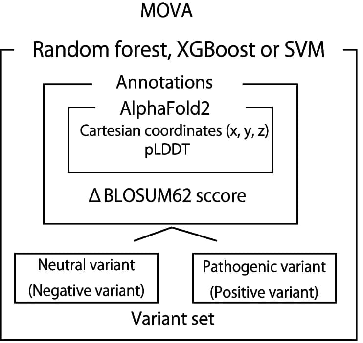 Open access visualization of Workflow, Flowchart, Random Forest, XGBoost, Support Vector Machine
