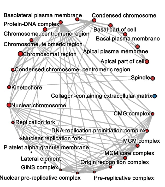 Open access visualization of Network, Pathway, GO Cellular Component, Enrichment Analysis, Circle Layout Plot