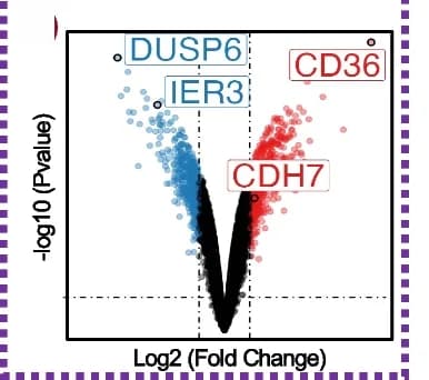 Open access visualization of Volcano Plot, Differential Gene Expression Analysis