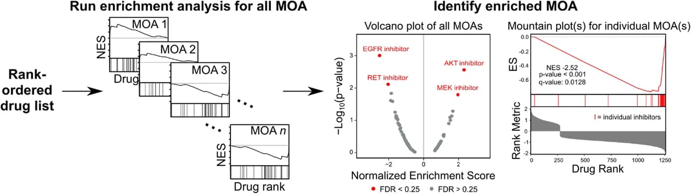 Open access visualization of Volcano Plot, Line Plot, Bar Plot, Drug Mechanism Enrichment Analysis, GSEA