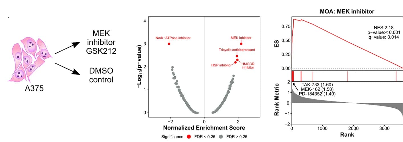Open access visualization of Scatter Plot, Line Plot, Volcano Plot, A375 Melanoma Clones, MEK Inhibitor