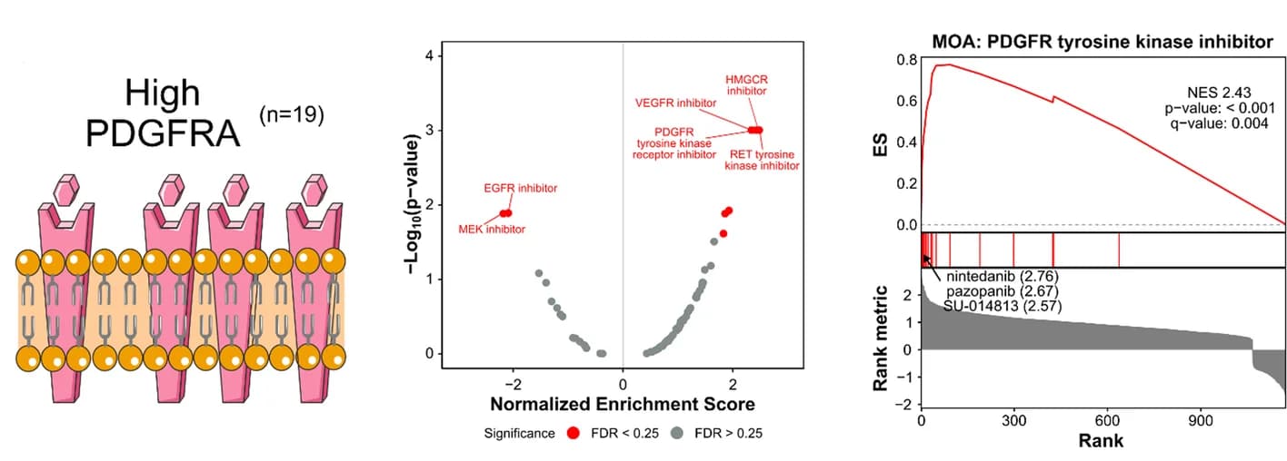 Open access visualization of Volcano Plot, Line Plot, PDGFRA Expression, Cell Line, Drug MOAs